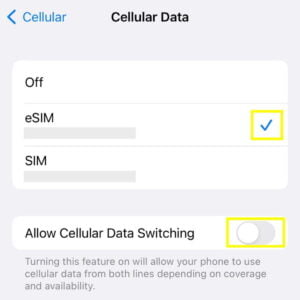 How To Check If eSIM Is Activated On iPhone